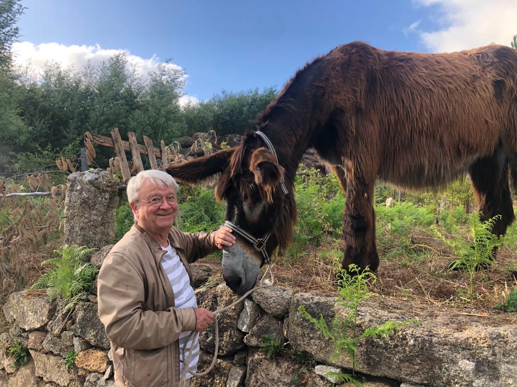 Aventuras de Billy el burro